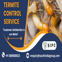 Termite Control In Bangalore